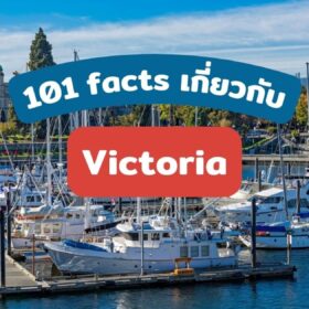 101 Facts! Victoria เมืองชิลๆ ที่ผู้คนเป็นมิตร บรรยากาศธรรมชาติ แต่ไม่ขาดสีสัน